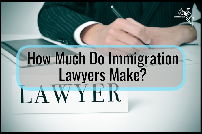 How much does immigration lawyer cost for citizenship