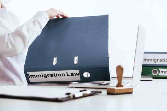 How much does immigration lawyer cost for citizenship