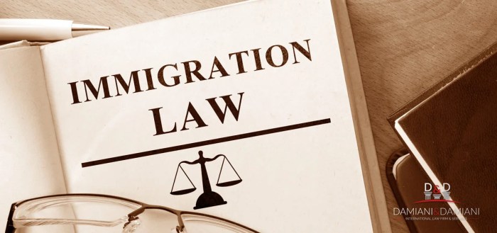 Immigration lawyer family