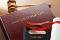 Immigration lawyer illinois