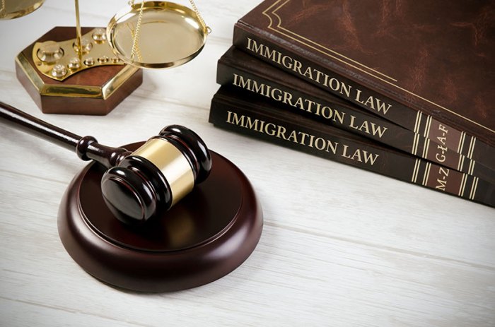 Immigration lawyer family